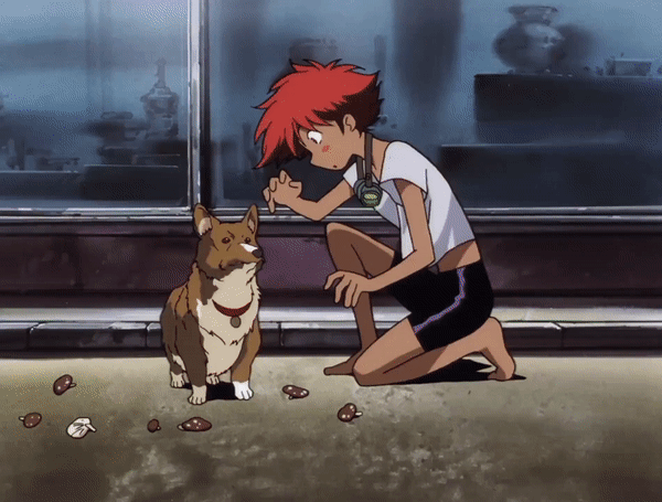 bebop-nope.gif
