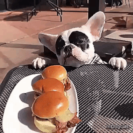 hungry.gif