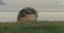 stalk.gif